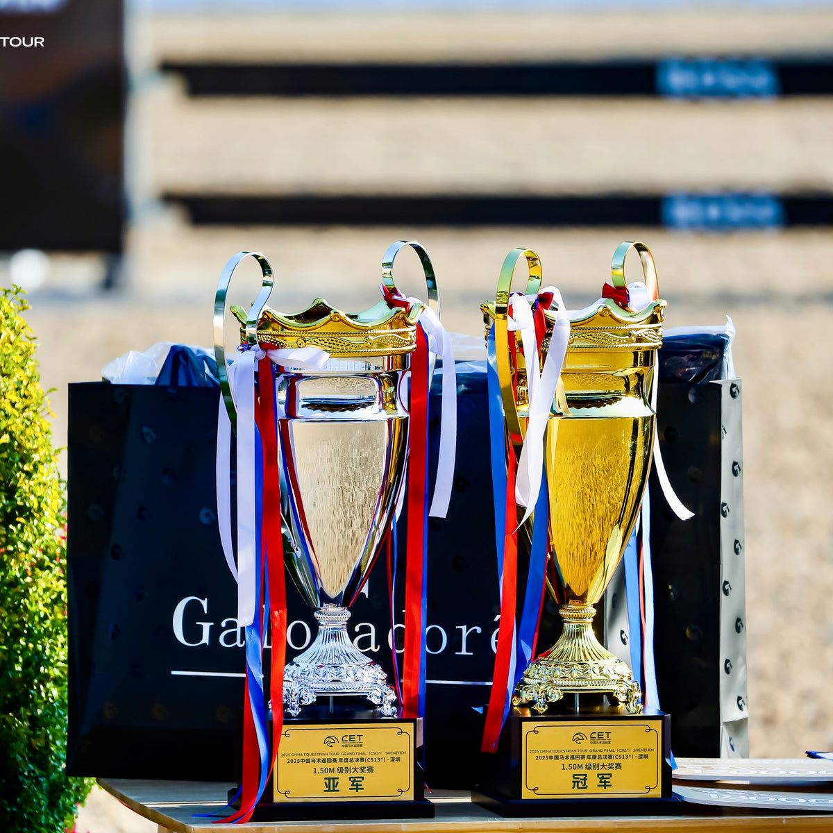 Galopadorè equestrian achievement