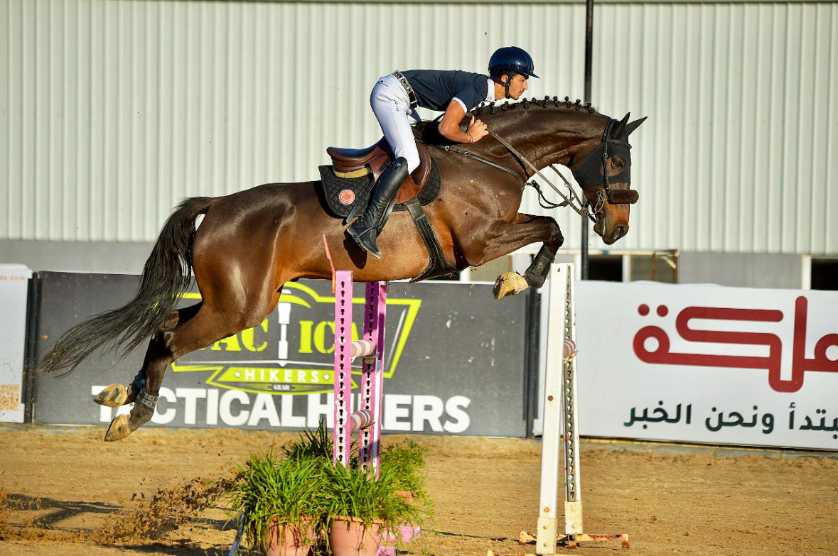 International sport horse selection by Galopadorè